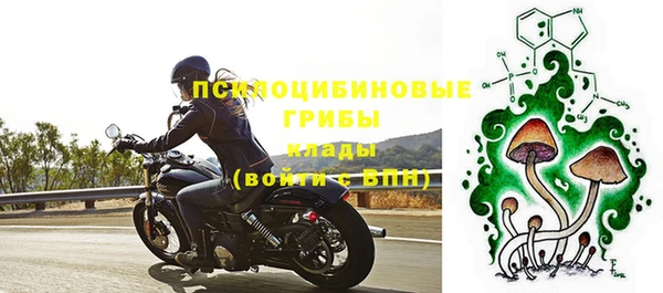 дурь Мещовск