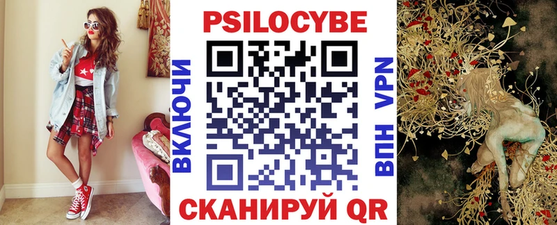 Галлюциногенные грибы Psilocybe  Советск 
