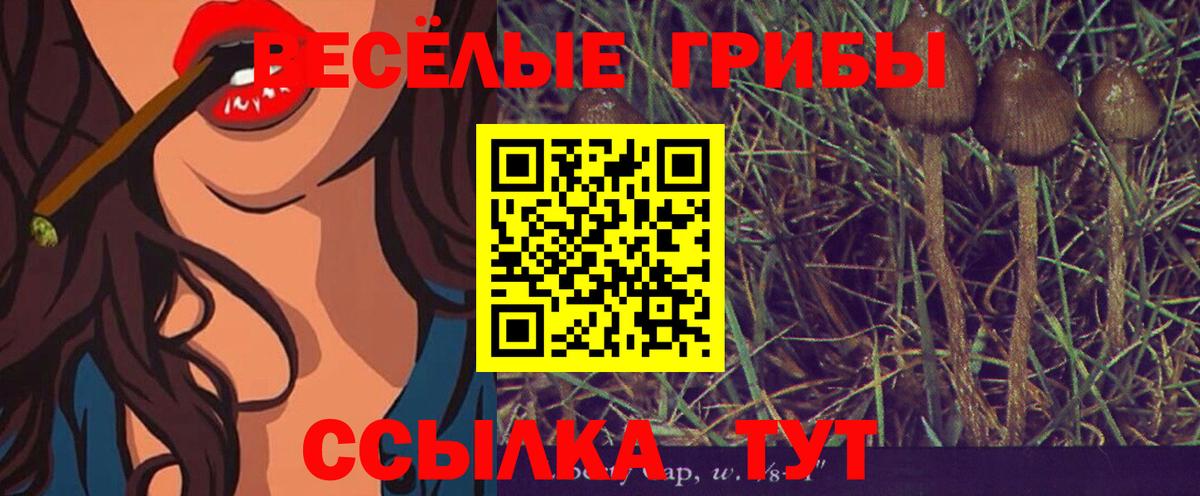 Меф  МАРИХУАНА  ГАШИШ  МЕФ кристаллы  КОКАИН  МДМА  Советск  Вход с VPN 